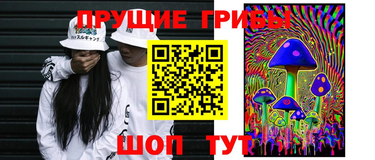 Псилоцибиновые грибы Psilocybe Рязань